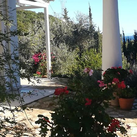 Villa Buras Σκινάρια Εξωτερικό φωτογραφία