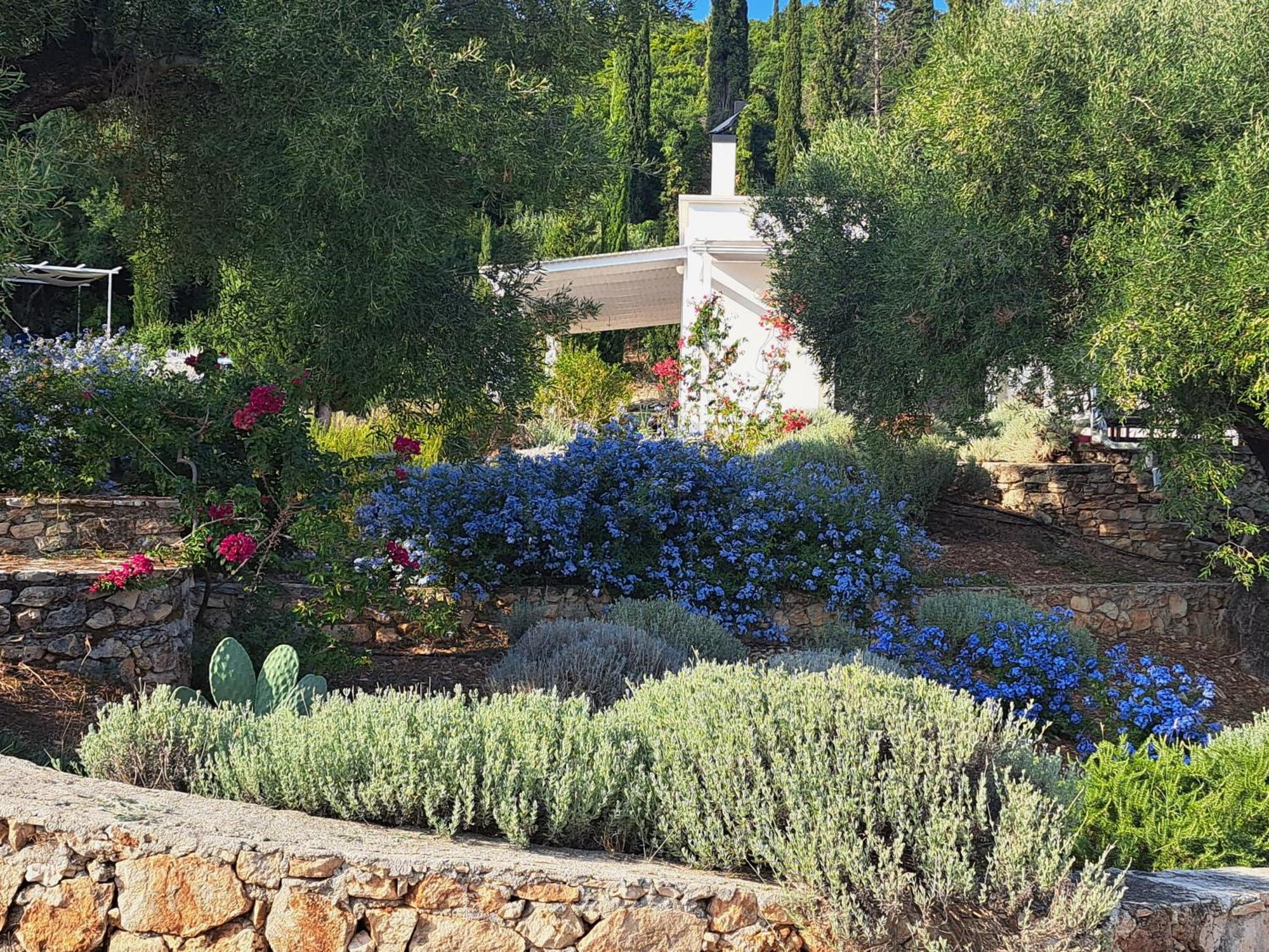 Villa Buras Σκινάρια Εξωτερικό φωτογραφία