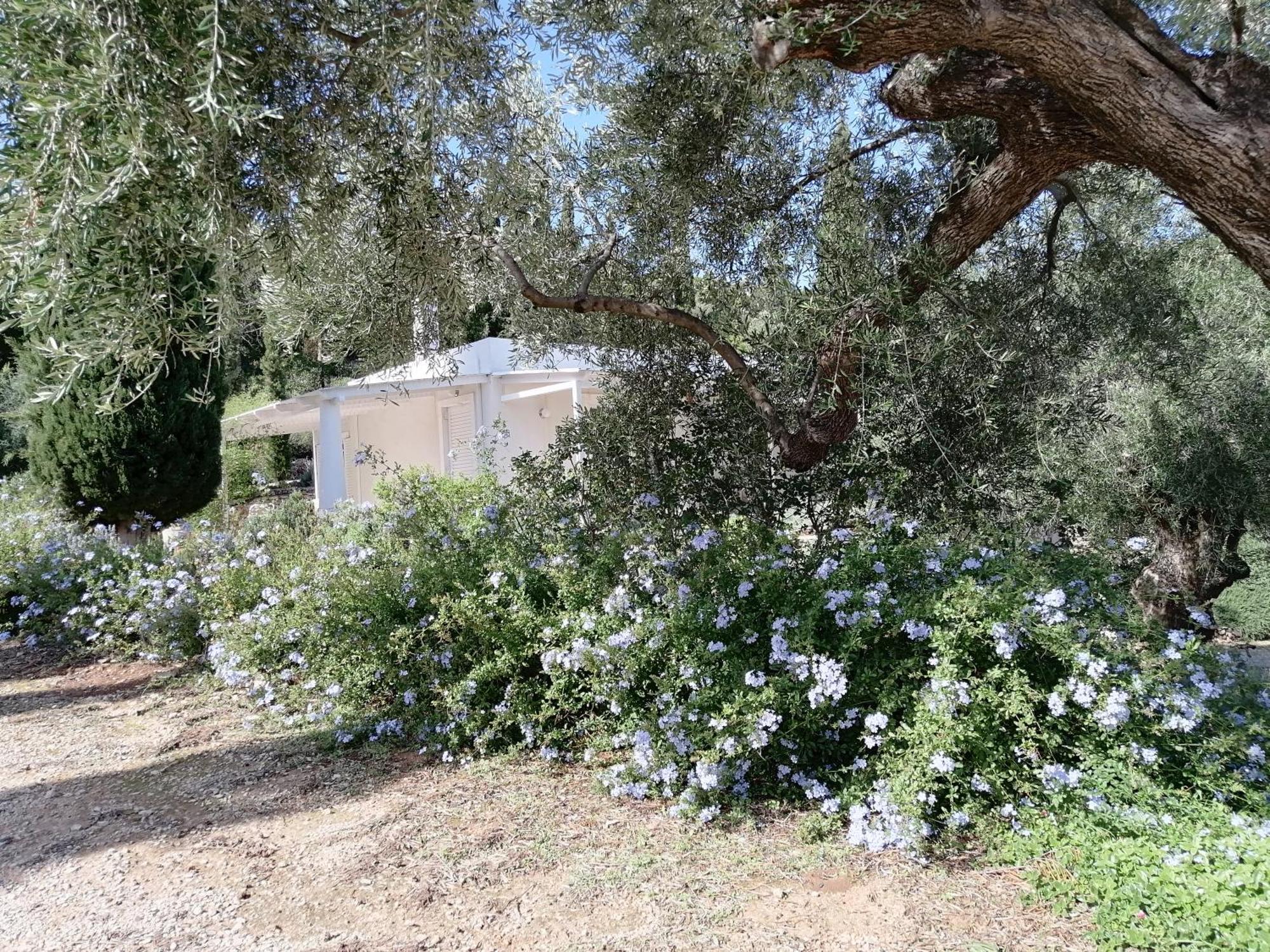 Villa Buras Σκινάρια Εξωτερικό φωτογραφία