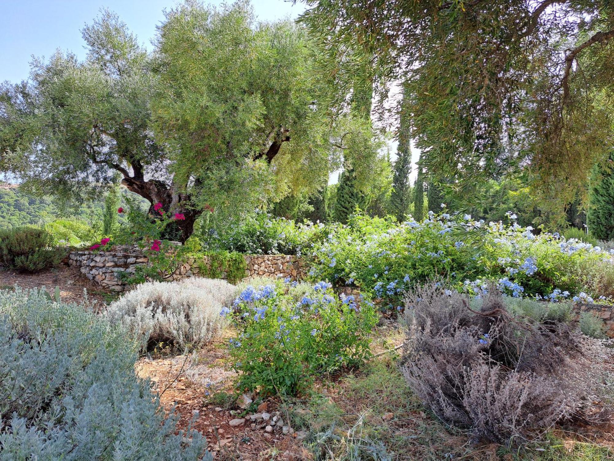 Villa Buras Σκινάρια Εξωτερικό φωτογραφία