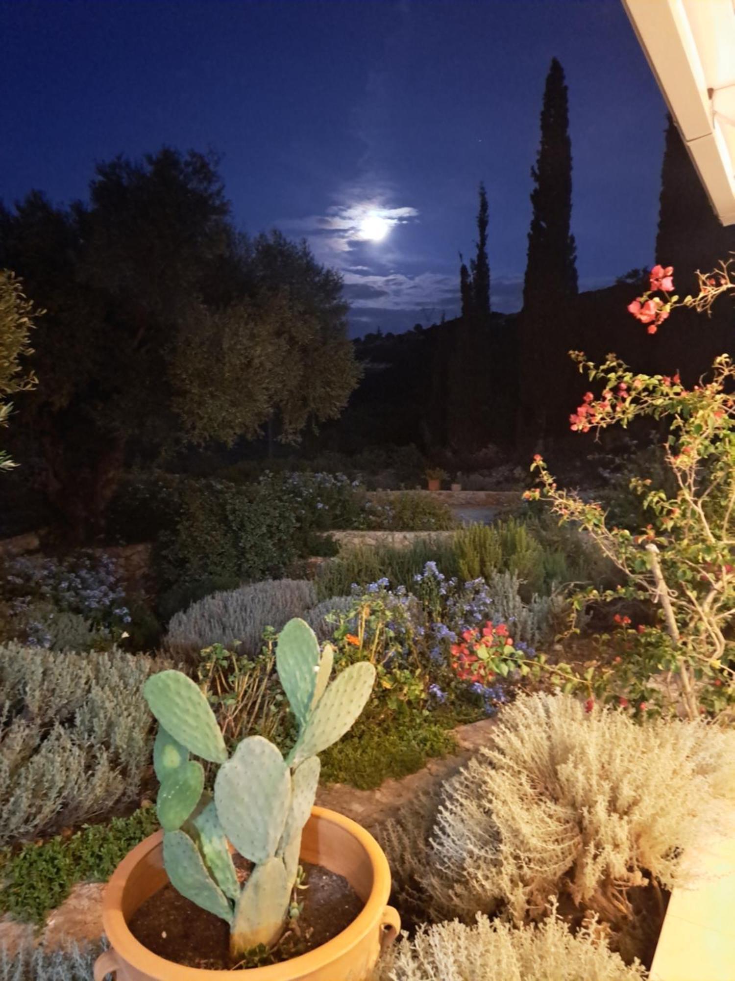 Villa Buras Σκινάρια Εξωτερικό φωτογραφία