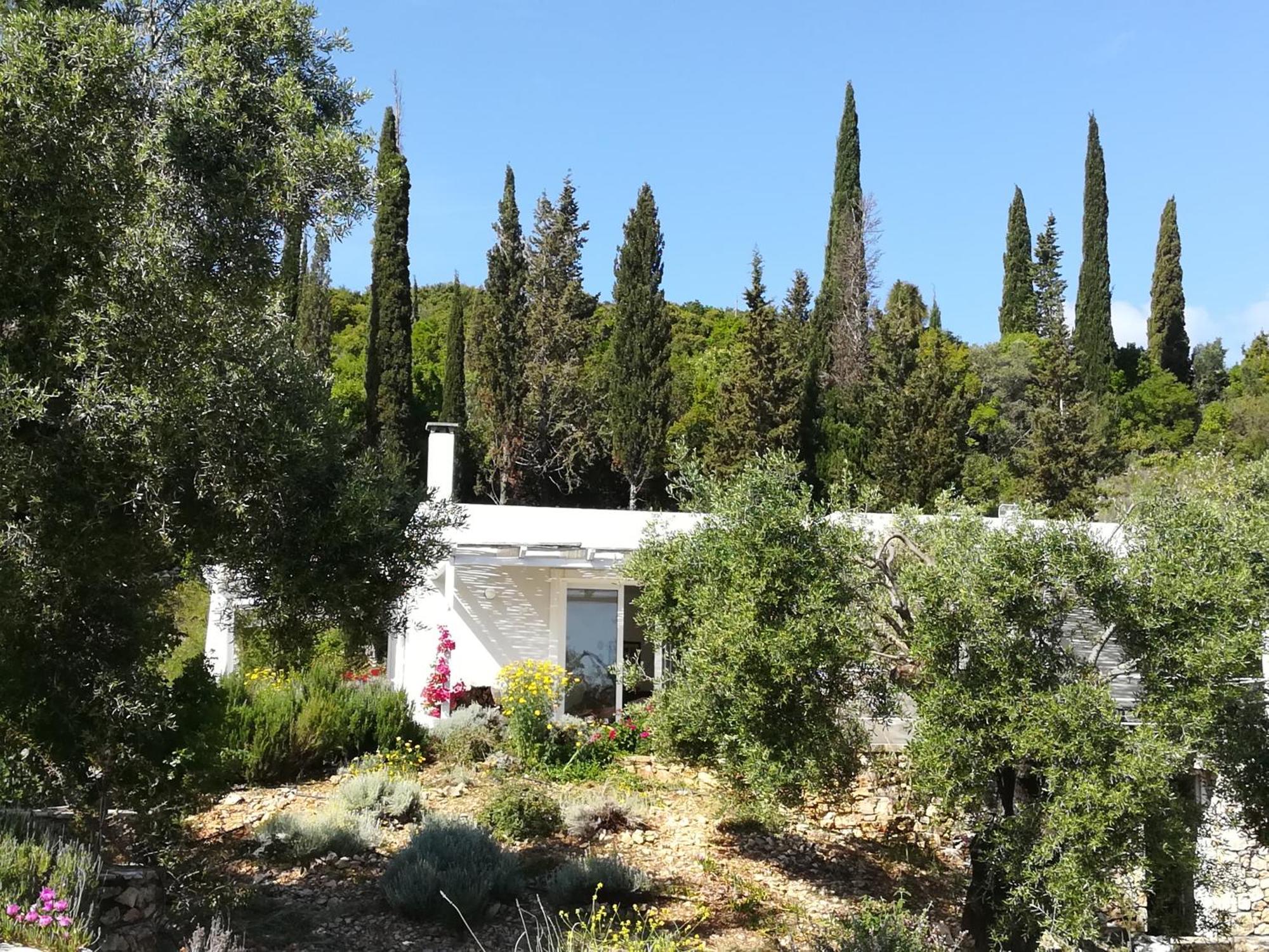 Villa Buras Σκινάρια Εξωτερικό φωτογραφία